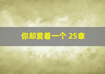 你却爱着一个 25章